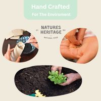Natures Heritage 14 Variety Herb Seed Box